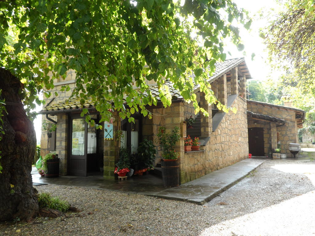 Mola Solis Otel Civitella dʼAgliano Dış mekan fotoğraf