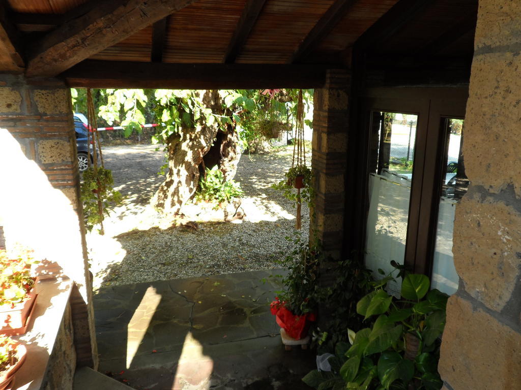 Mola Solis Otel Civitella dʼAgliano Dış mekan fotoğraf