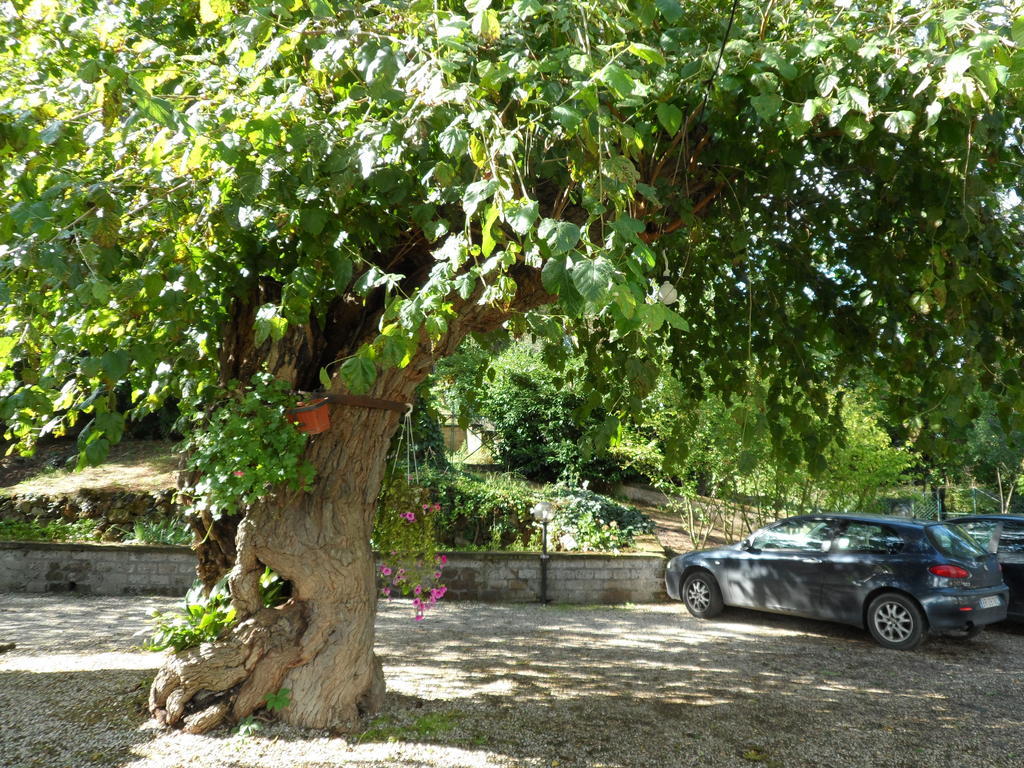Mola Solis Otel Civitella dʼAgliano Dış mekan fotoğraf